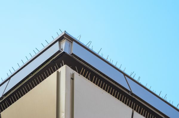 Roof Bird Control - Roof Bird Control Prescott, Arizona