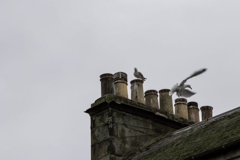 Vents and Chimneys