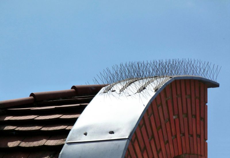 Roof Damage Prevention